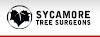 Sycamore Tree Surgeons  Logo