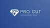 PRO-CUT Diamond Drilling LTD Logo