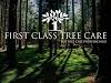 First Class Tree Care Logo