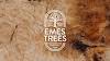 Emes Trees Logo