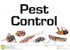 Pest Control And Cleaning Ltd Logo