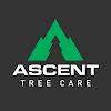Ascent Tree Care Logo