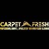 Carpet Fresh South Ltd Logo