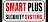 Smart Plus Security Systems Logo
