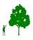Christopher Hoare Tree Services Ltd Logo