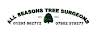 All Seasons Tree Surgeons Logo