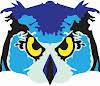 Owl Locksmiths & Security Logo