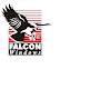 Falcon Windows Ltd Logo