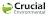 Crucial Environmental Limited Logo