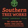 Southern Tree Works Logo