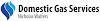 Domestic Gas Services Logo