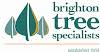 Brighton Tree Specialists Logo