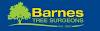 Barnes Tree Surgeons Logo