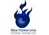 Blue Flame CMS Limited Logo