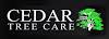 Cedar Tree Care Ltd Logo