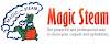 Magic Steam Logo