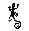 Gecko Designs Logo
