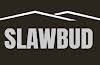Slawbud Builders Company Logo