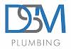 DSM Plumbing Ltd Logo