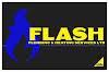 Flash Plumbing and Heating Services Ltd Logo