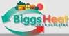 Biggs Heat Technologies Limited Logo