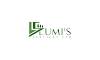 Lumi's Services Ltd Logo