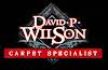 David P Wilson Logo