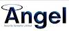 Angel Security Systems Ltd Logo