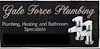 Gale Force Plumbing Logo