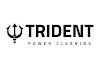 Trident Power Cleaning LTD Logo