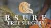 Bsure Tree Surgery Logo