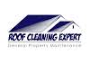 Roof Cleaning Expert Logo