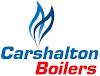 Carshalton Boiler Services Ltd Logo