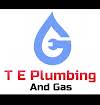 T E Plumbing Logo
