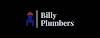 BILLY PLUMBING & CONSTRUCTION LTD Logo